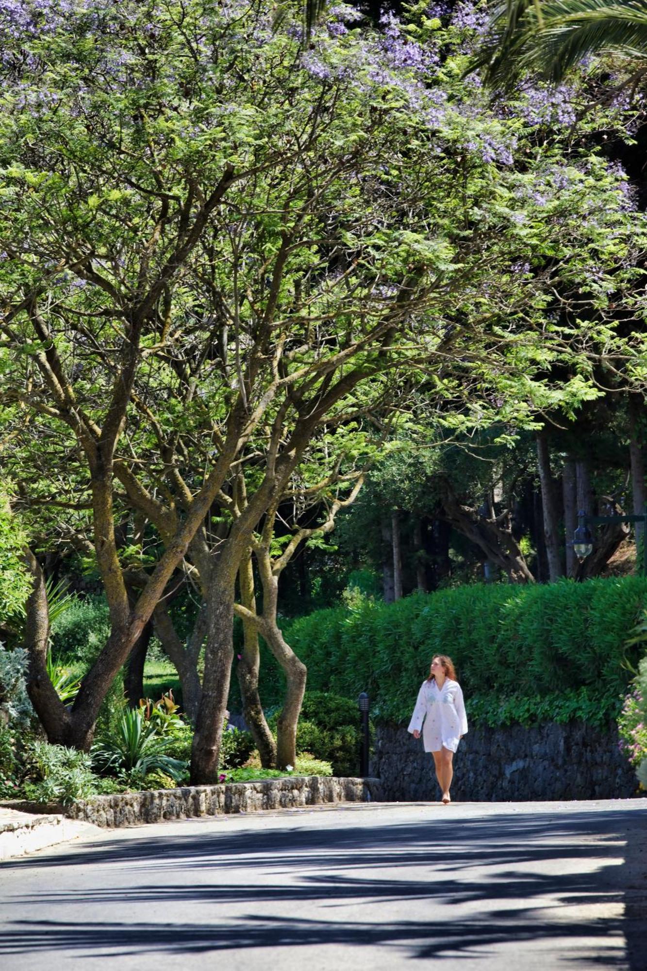 Aeolos Beach Resort Gastouri  エクステリア 写真